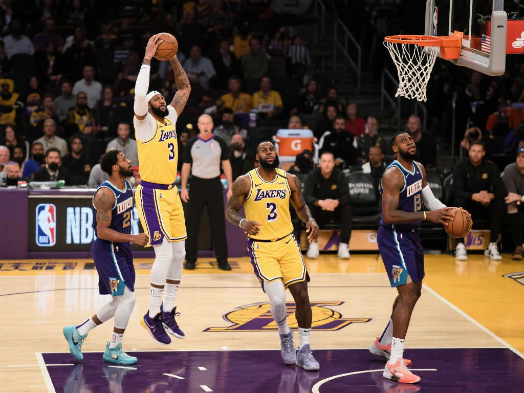 添了光彩 添了光彩